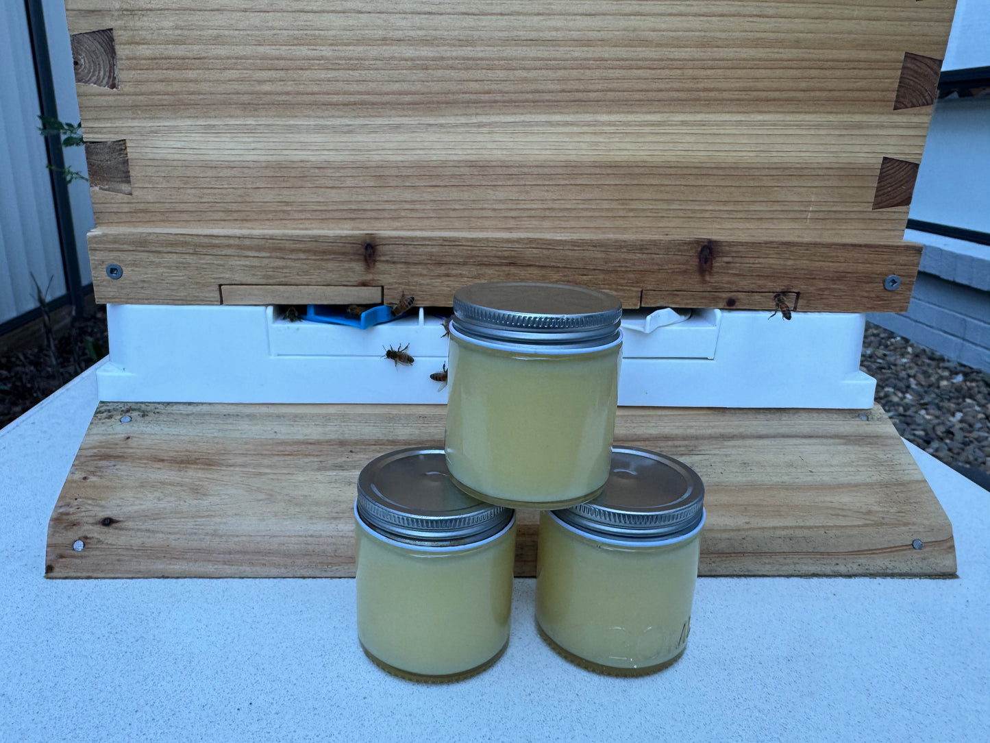 Nourishing Tallow Moisturiser 120mL